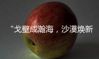 “戈壁成瀚海，沙漠煥新顏” 全力打造首個(gè)“沙戈荒”能源基地示范標(biāo)桿