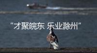 “才聚皖東 樂業(yè)滁州”就業(yè)直播平臺成功首播_