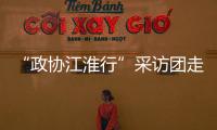 “政協(xié)江淮行”采訪團(tuán)走進(jìn)樅陽