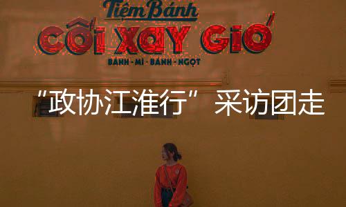 “政協(xié)江淮行”采訪團走進樅陽