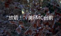 “放箭！”美FMC臺前撐腰，托運人瞄準高運費！...船公司陷投訴風暴