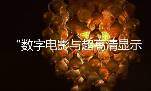 “數(shù)字電影與超高清顯示技術(shù)”高端對話會在廣州舉行