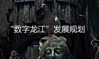 “數(shù)字龍江”發(fā)展規(guī)劃 2019