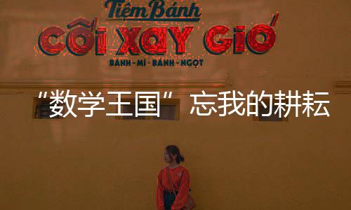 “數學王國”忘我的耕耘者(關于“數學王國”忘我的耕耘者簡述)