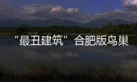“最丑建筑”合肥版鳥巢啟用 曾花1.8億閑置5年（圖）
