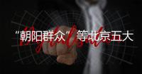 “朝陽群眾”等北京五大王牌群眾組織首次亮相