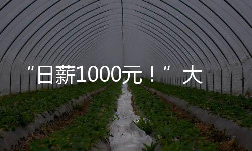 “日薪1000元！”大學生境外求職，竟身陷緬北