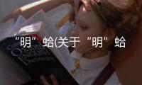 “明”蛤(關(guān)于“明”蛤簡(jiǎn)述)