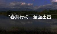 “春茶行動(dòng)”全面出擊