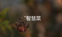 “智慧菜
