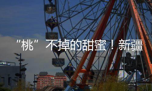 “桃”不掉的甜蜜！新疆庫車百畝桃子喜豐收