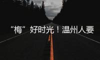 “梅”好時光！溫州人要實現楊梅“自由”了