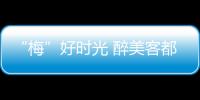 “梅”好時光 醉美客都——2024年梅州米香酒文化周系列活動回顧