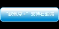 “歐佩克+”支持石油減產 稱旨在維持市場穩定平衡