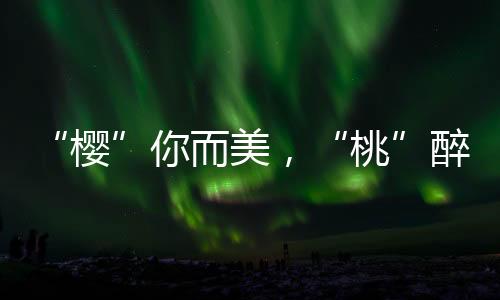“櫻”你而美，“桃”醉山鄉(xiāng)！昭陽(yáng)區(qū)萬(wàn)畝櫻桃進(jìn)入采摘季