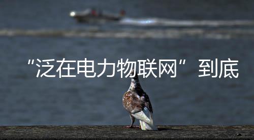“泛在電力物聯網”到底是啥？