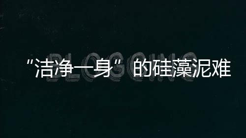“潔凈一身”的硅藻泥難逃甲醛“魔掌”