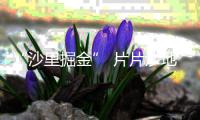 “沙里掘金” 片片沙地變身產(chǎn)業(yè)聚集“聚寶盆”
