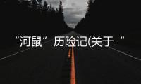 “河鼠”歷險記(關(guān)于“河鼠”歷險記簡述)