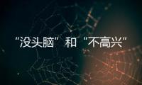 “沒頭腦”和“不高興”(關(guān)于“沒頭腦”和“不高興”簡(jiǎn)述)