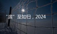 “濱”至如歸，2024年第一個“頂流”是怎樣煉成的？