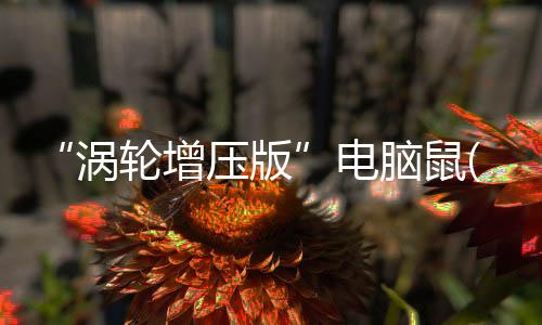 “渦輪增壓版”電腦鼠(關于“渦輪增壓版”電腦鼠簡述)