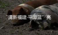 “清新福建·平潭藍”亮相西安絲綢之路國際旅游博覽會