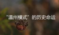 “溫州模式”的歷史命運(關于“溫州模式”的歷史命運簡述)