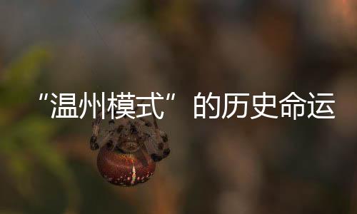 “溫州模式”的歷史命運(關于“溫州模式”的歷史命運簡述)