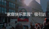 “家庭快樂菜園”吸引近200個家庭一起學種玉米