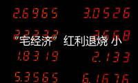 “宅經濟”紅利退燒 小家電不香了（圖）
