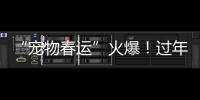“寵物春運”火爆！過年返鄉(xiāng)，正確托運寵物記得四要一不要