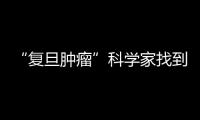 “復旦腫瘤”科學家找到“最毒乳腺癌”疾病進展的調控機制