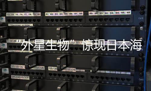 “外星生物”驚現(xiàn)日本海岸 外形酷似皮卡丘