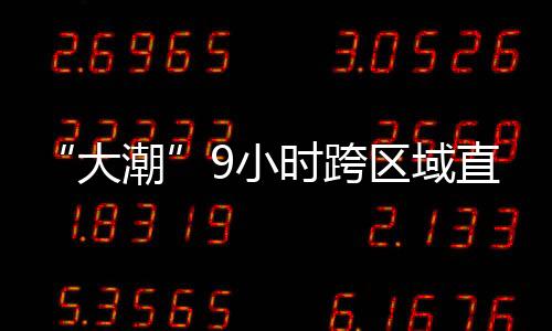 “大潮”9小時跨區域直播 首車3000斤武義獼猴桃直供海寧
