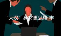 “大漢”身材更魁梧 豐田新一代漢蘭達諜照