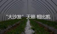 “大沙發”天籟 相比凱美瑞有哪些優缺點