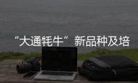 “大通牦牛”新品種及培育技術(shù)(關(guān)于“大通牦牛”新品種及培育技術(shù)簡(jiǎn)述)