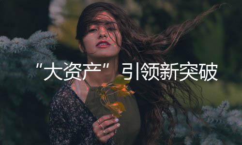 “大資產”引領新突破