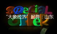 “大象經濟”起舞：山東實在是太全面了