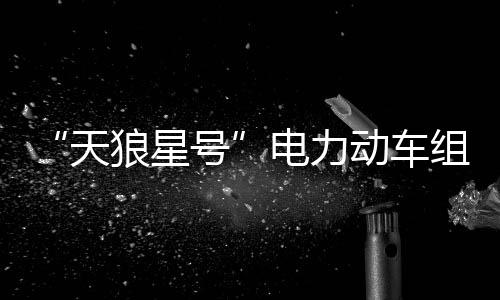 “天狼星號(hào)”電力動(dòng)車組(關(guān)于“天狼星號(hào)”電力動(dòng)車組簡(jiǎn)述)