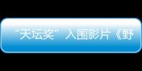 “天壇獎(jiǎng)”入圍影片《野梨樹(shù)》：樹(shù)影婆娑下的故鄉(xiāng)