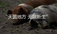 “天圓地方 無限新生”,海信中央空調全新產品戰略發布