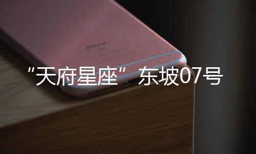 “天府星座”東坡07號衛(wèi)星(關(guān)于“天府星座”東坡07號衛(wèi)星簡述)