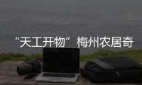 “天工開物”梅州農居奇石書畫盆景雅集展開展，《梅州石》同步首發！