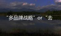 “多品牌戰略”or“去品牌化”，家居行業該選哪條路？（圖）
