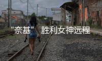 “奈基” 勝利女神遠程地空導彈(關于“奈基” 勝利女神遠程地空導彈簡述)