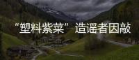“塑料紫菜”造謠者因敲詐勒索被判一年十個月