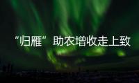 “歸雁”助農增收走上致富路