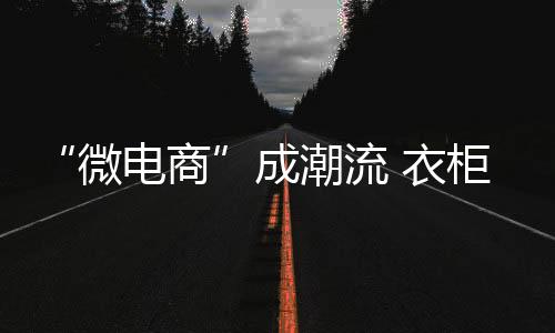 “微電商”成潮流 衣柜企業(yè)借東風(fēng)求發(fā)展-